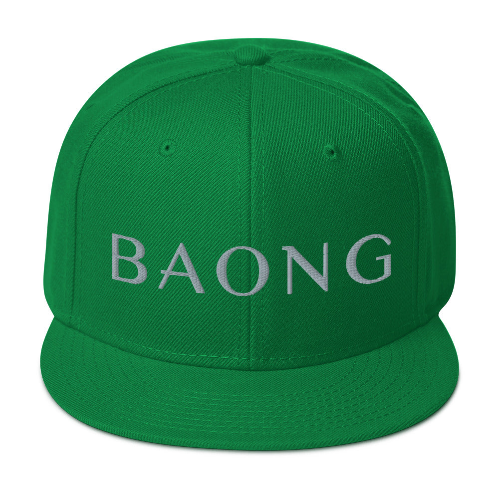 BAONG Embroidered Snapback (Silver)