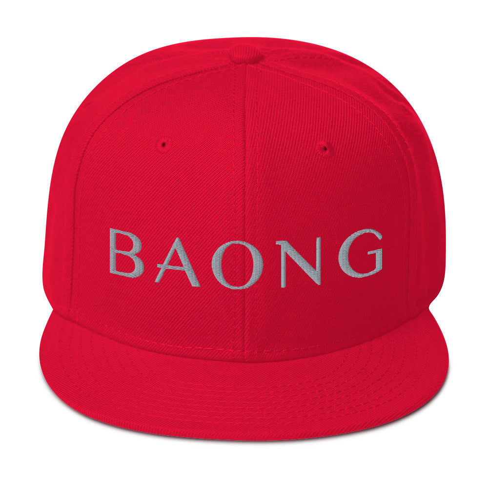 BAONG Embroidered Snapback (Silver)