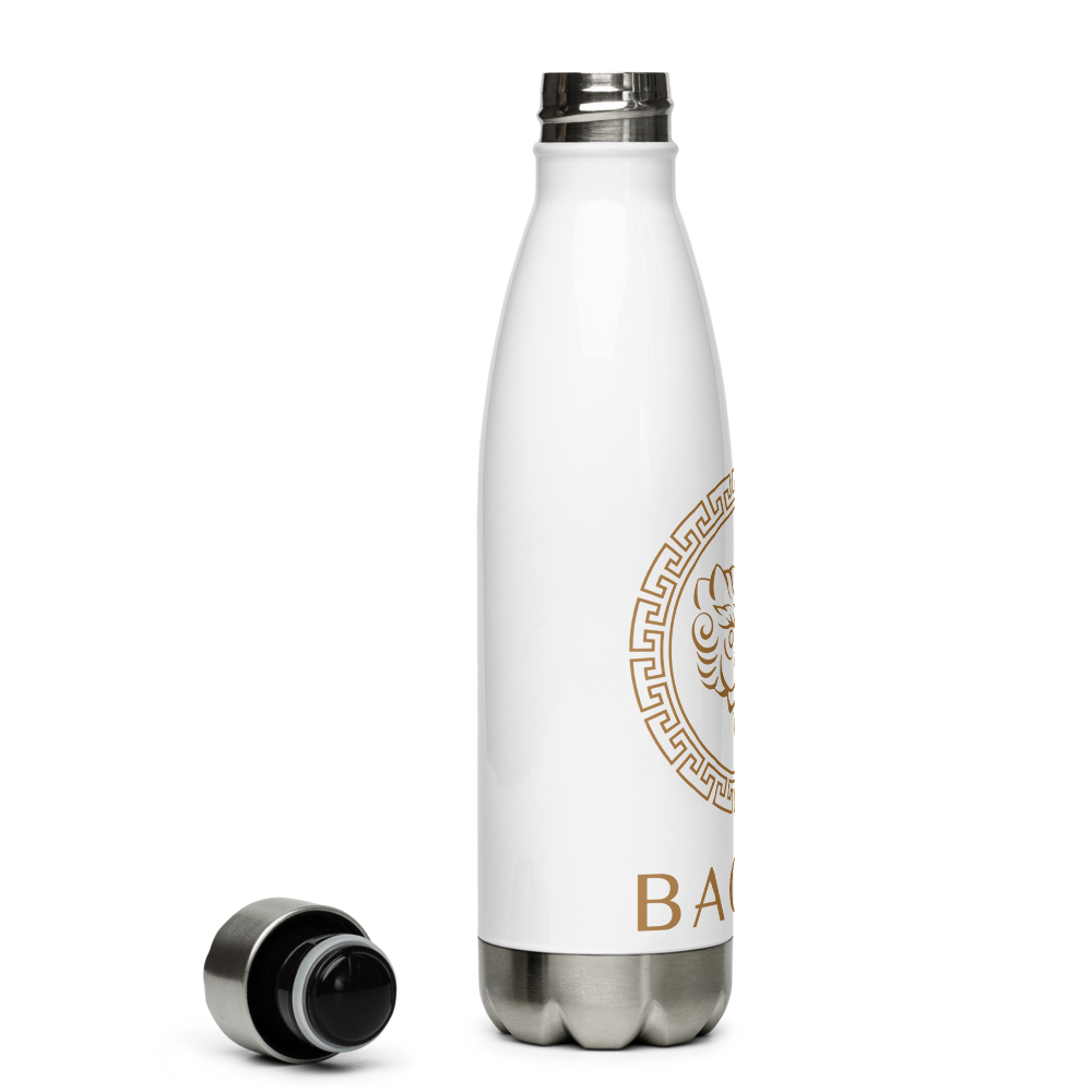 BAONG Mystic Stainless Steel Water Bottle (Luxe)
