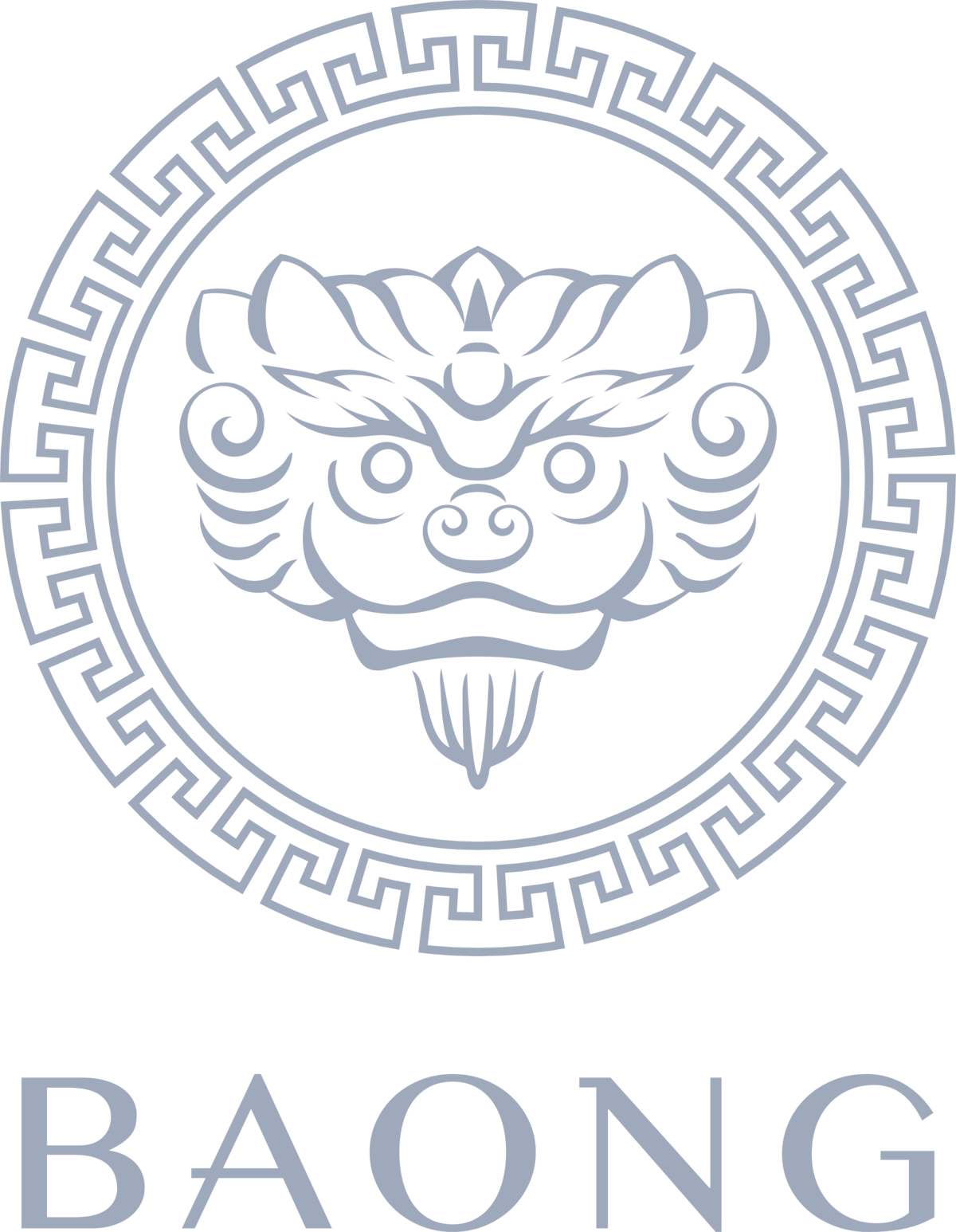 BAONG Mystic Silver