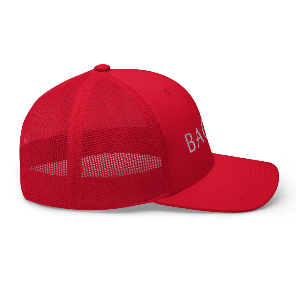 BAONG Embroidered Trucker Cap (Silver)