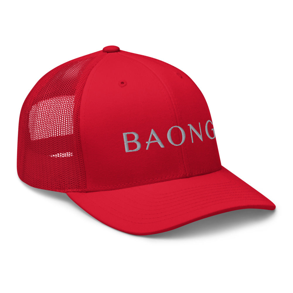 BAONG Embroidered Trucker Cap (Silver)