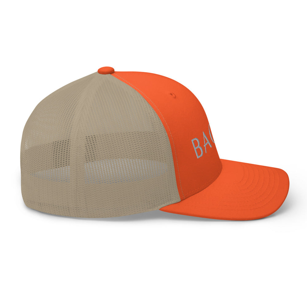 BAONG Embroidered Trucker Cap (Silver)
