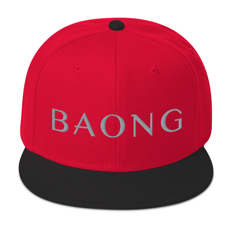 BAONG Embroidered Snapback (Silver)