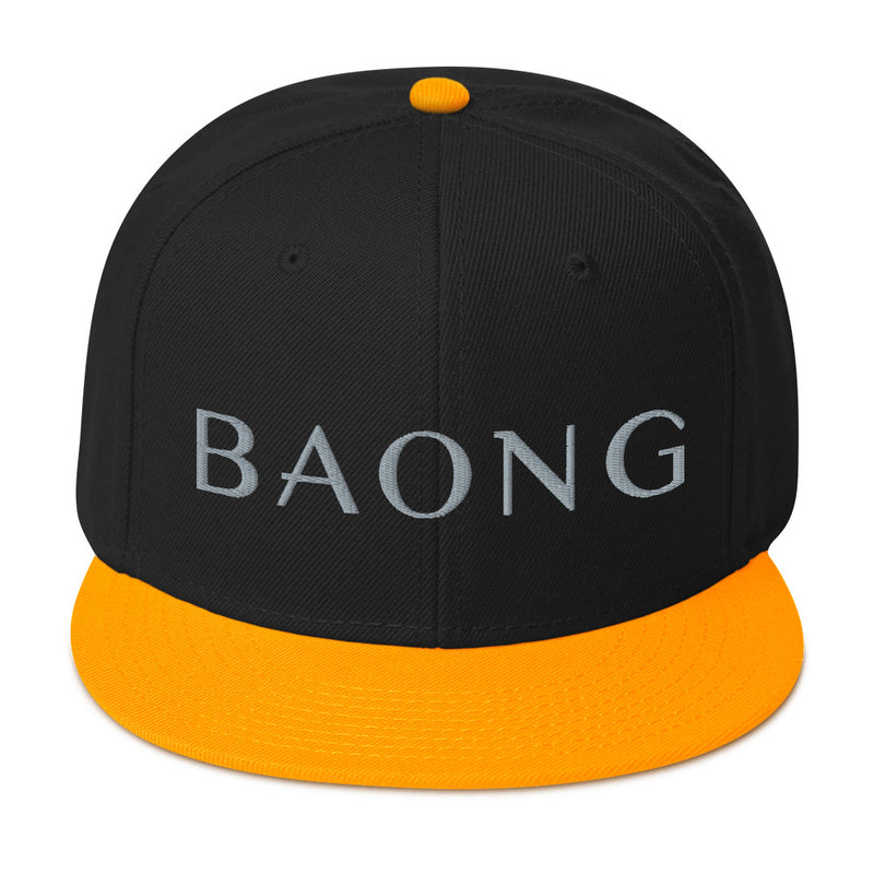 BAONG Embroidered Snapback (Silver)