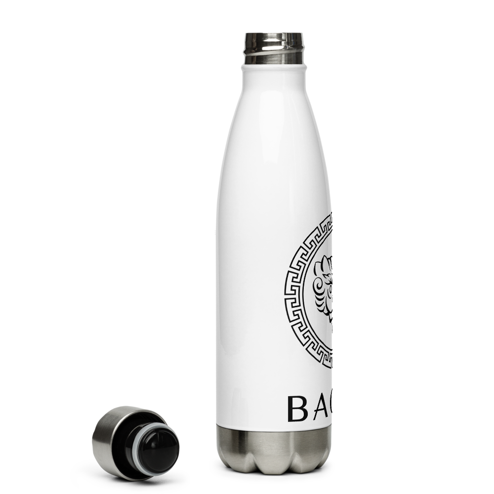 BAONG Mystic Stainless Steel Water Bottle